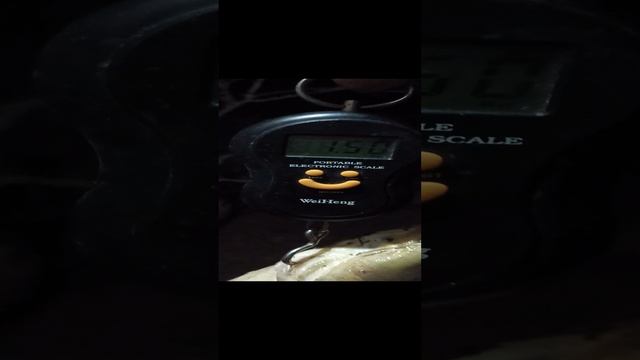 1000028396.mp4