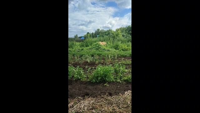 Июльские будни в Потеряевке с братьями.