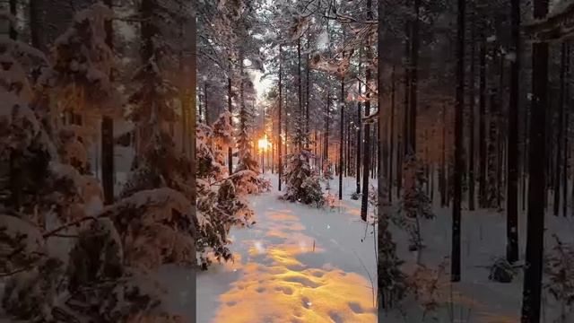 Winter's Gentle Touch