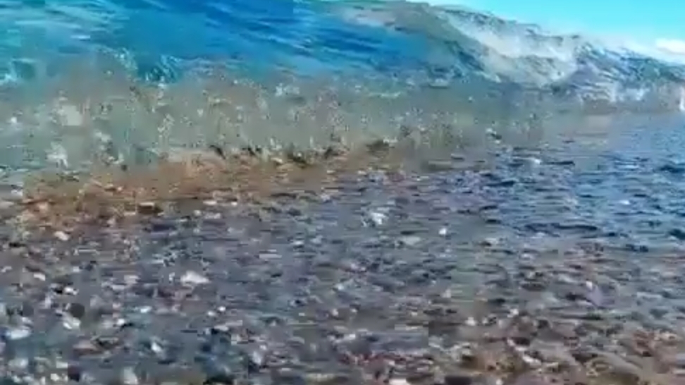 речные воды rechnyye vody 🏖