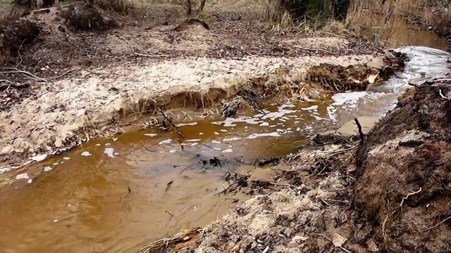 Новогодние ручьи.Начало января в Приморск