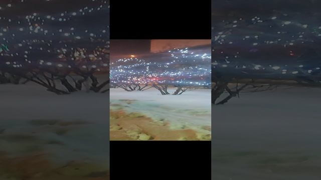 1000568335.mp4