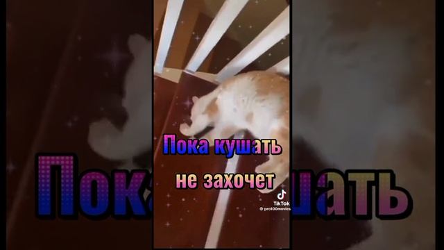 1000035060.mp4