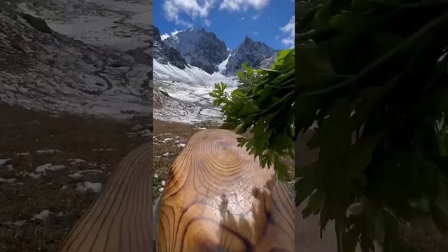 Мясо в горах🏔️🥩