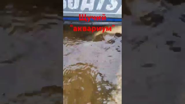 Рыбалка на воблеры. Удачное начало!#щуканавоблер #щука #fishing