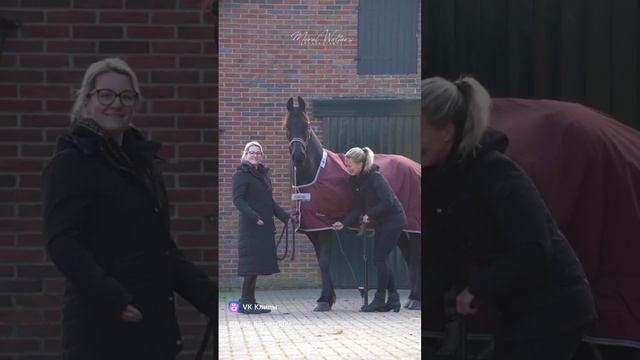 Подписывайтесь на мой канал и ставьте лайки моим видео. Мне нужна ваша поддержка!🙏🙏❤️