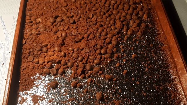 20250102_051255.mp4  Кофейные дюны