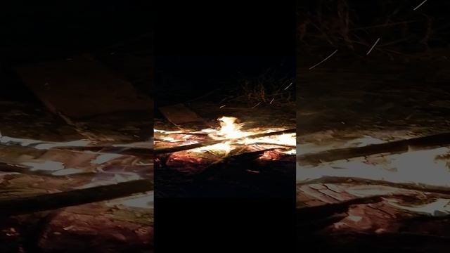 VID_20220812_222458.mp4