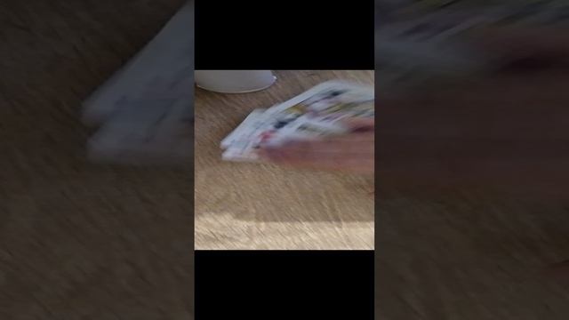 VID_20250102_170547.mp4