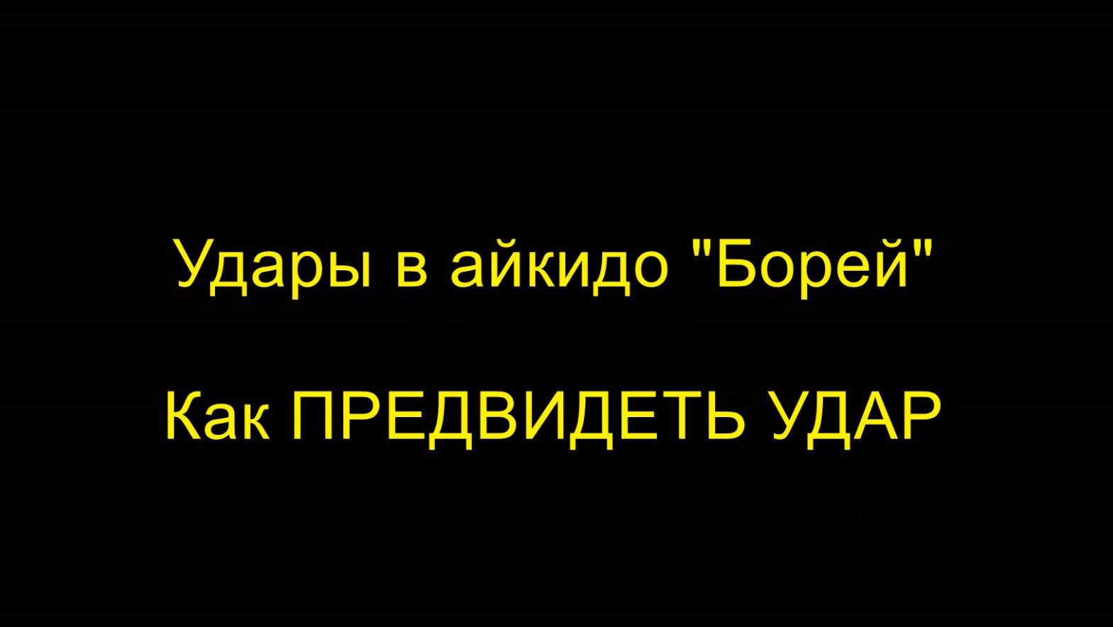 Как ПРЕДВИДЕТЬ УДАР, удары в айкидо "Борей"