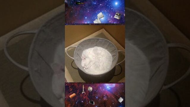 Тесто