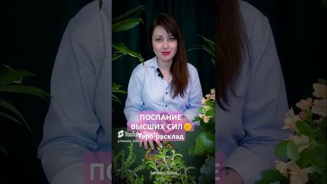 ПОСЛАНИЕ ВЫСШИХ СИЛ🌞Таро расклад