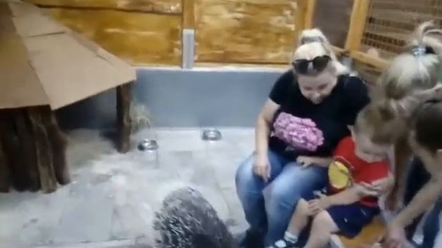 1 мая 2020 г. (1).mp4