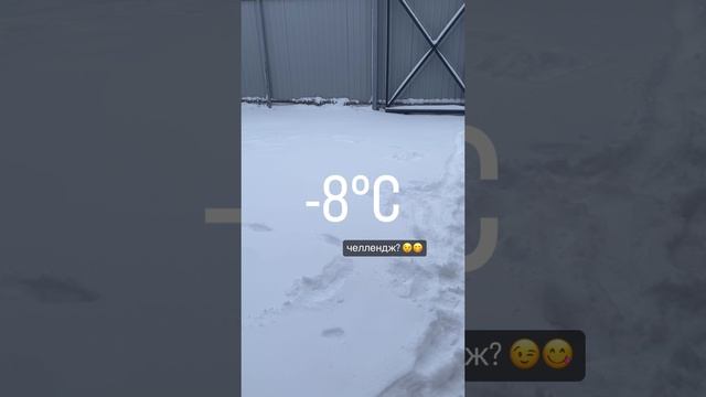 Тантан и его закалка ❄️