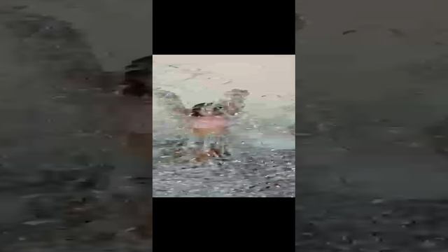 1000012274.mp4