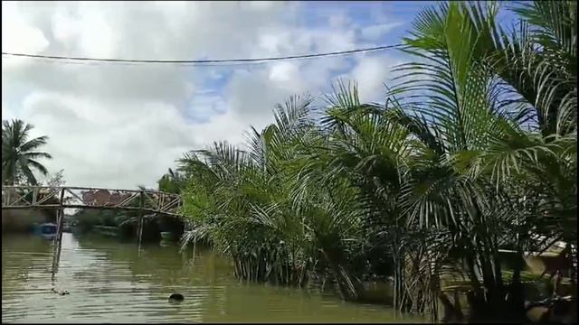 Катаемся на круглых лодках!Вьетнам!🇻🇳 ⛵