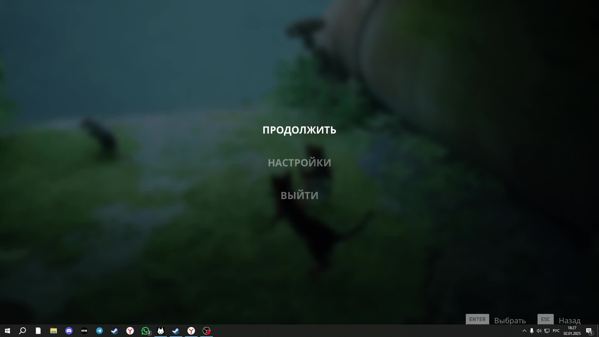 Стрим игры Stray