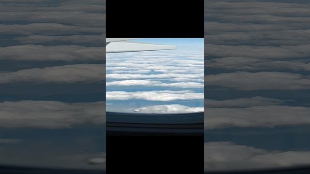 1000026433.mp4