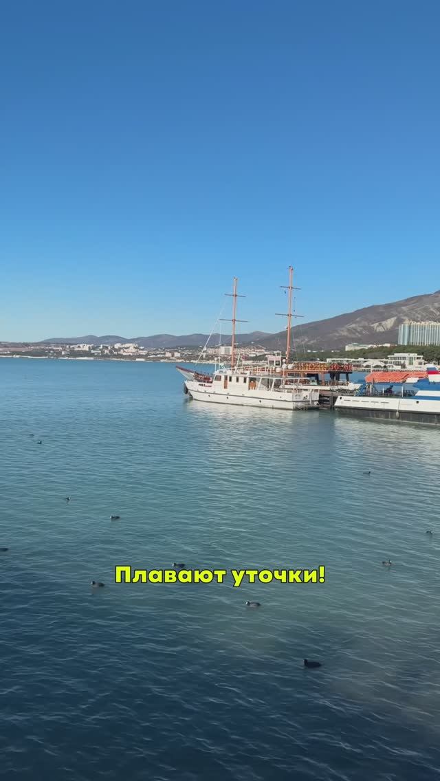 Прогулка по Геленджику 🌞🎄