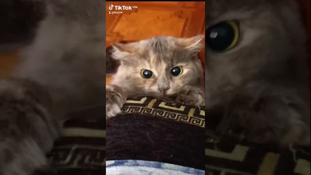 1000015773.mp4