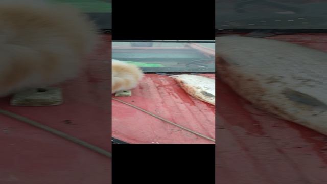 1000008571.mp4
