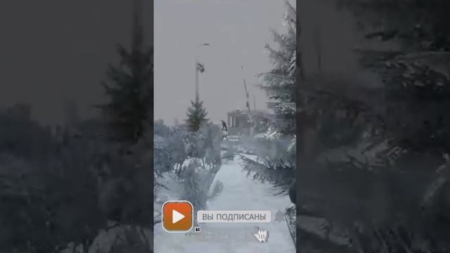 Встреча незнакомцев в #DayZ  #видео #топ #new #тренды #shorts