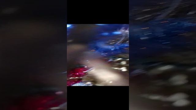 елочка с намереньем