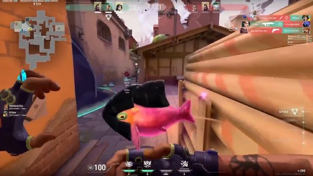18 Minutes of VALORANT Players Failing HARD