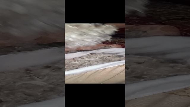 02-01-2025