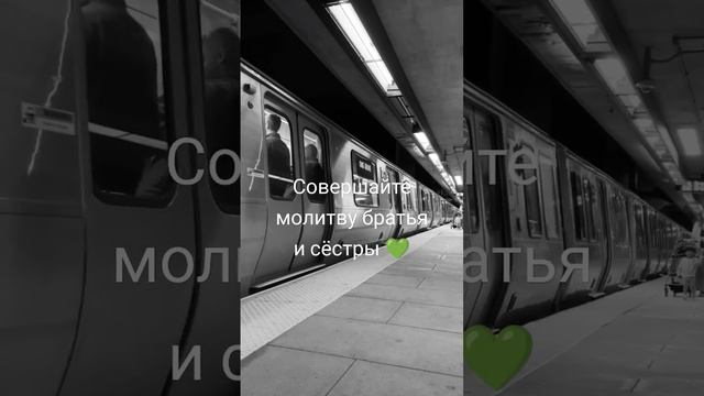 Совершайте молитву братья и сёстры 💚