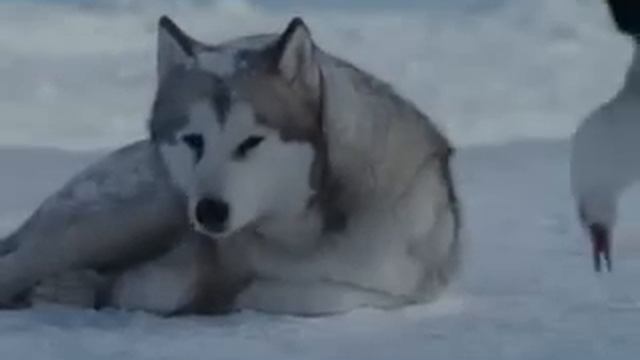 Enigma-Era-Gregorian - Moment Of