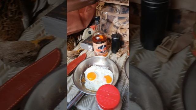 ЯИЧНИЦА В КАМЫШАХ НА ОХОТЕ. ИДЕМ НА БОЛОТОХОДЕ ПО ЛИМАНАМ КУБАНИ. РЕЦЕПТЫ СЮФ