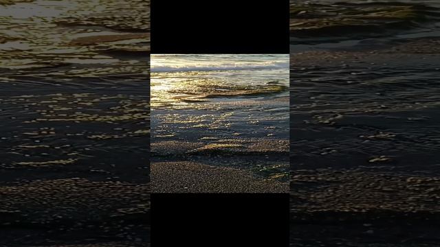 VID_20240919_182702~2.mp4
