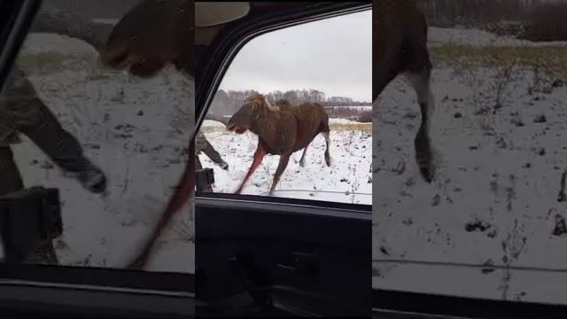 1000217694.mp4