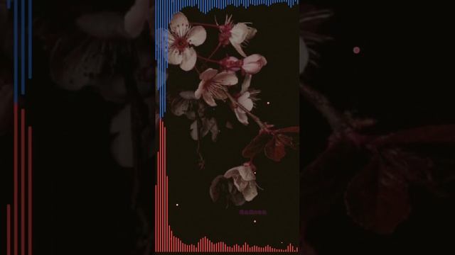 Chaki chaki Remix  | EaMics 😍
