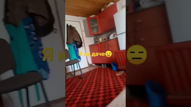 Яна даче