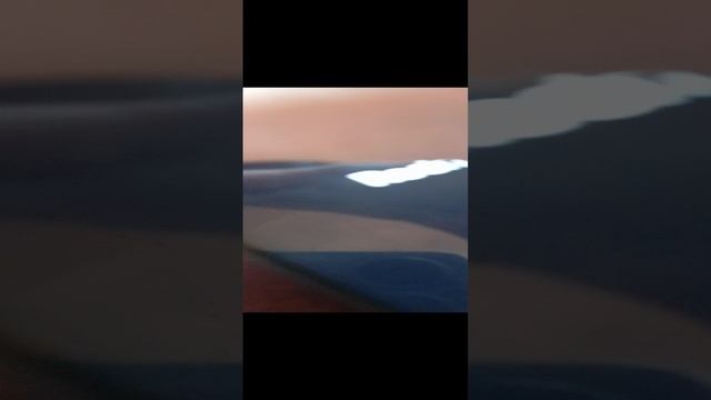 что с ним???