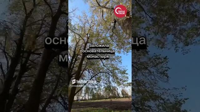 Женская Оптина пустынь празднует день рождения