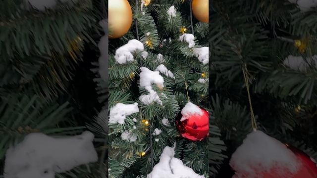 Всем праздничного настроения! #земнойирий #сокольники #парк #зима #прогулка #праздничноенастроение