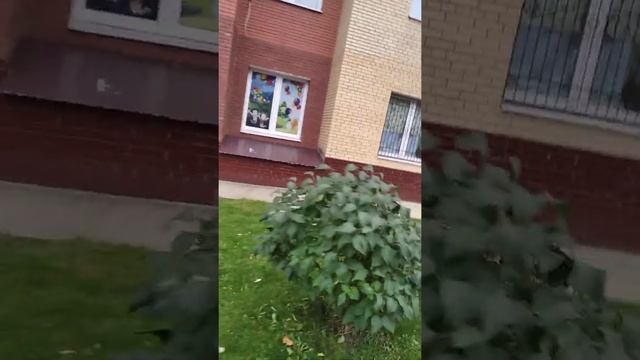 Замок чудес / для всей семьи #Shorts
