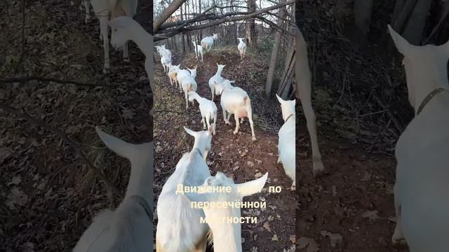 По дороге с облаками.