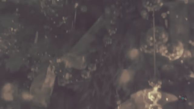 Предчувствие праздника. Музыка Таривердиева.mp4