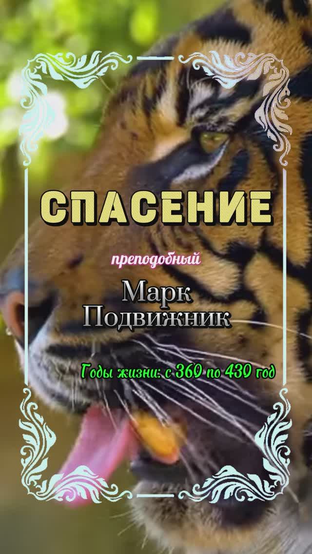 СПАСЕНИЕ. Преподобный Марк Подвижник
