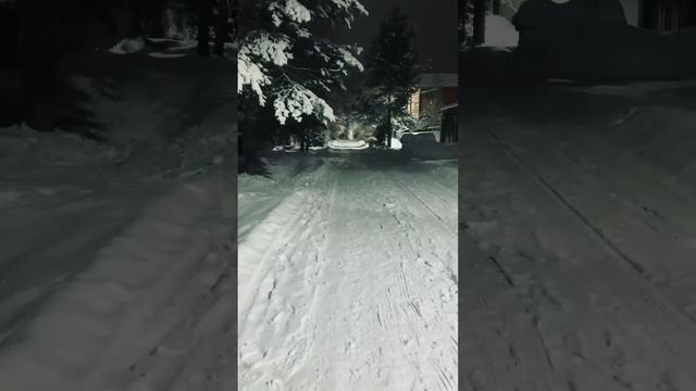 С Новым снежным годом!❄️