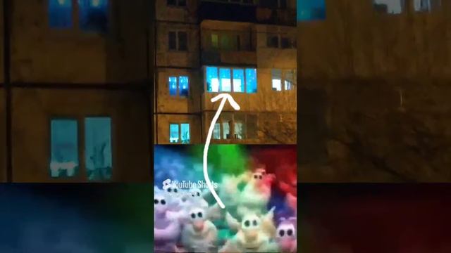 Хубы-бубы флексят