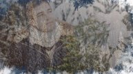 В лесу родилась ёлочка. Геологическая версия