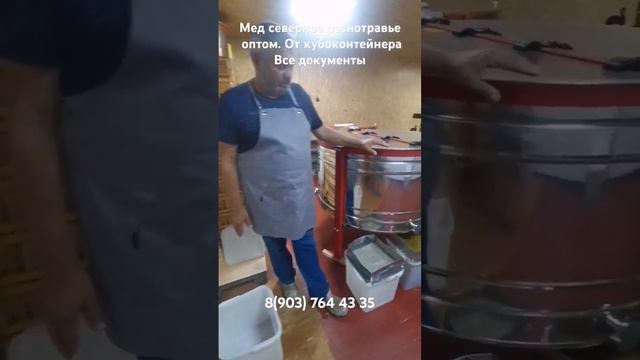 15 сентября 2024 г.