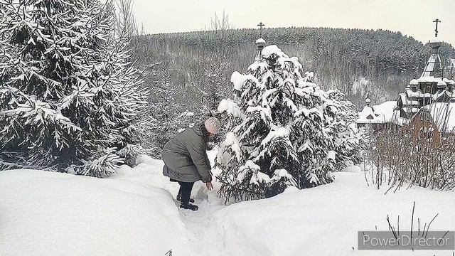 ПЕСНЯ РОЖДЕСТВА.
Автор: Наталья Журба.