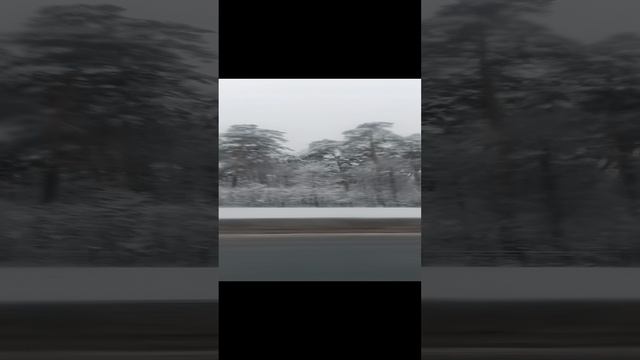 1000045103.mp4