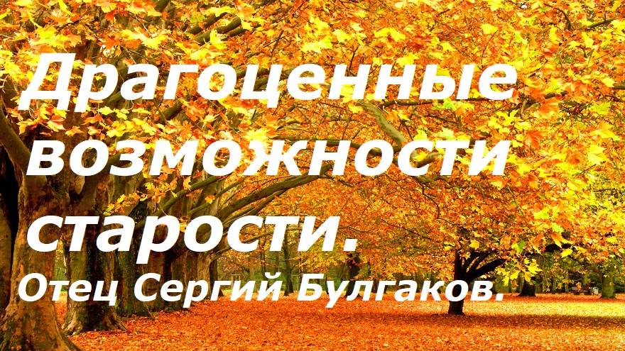 Как бы их не проморгать. Драгоценные возможности старости. Отец Сергий Булгаков.